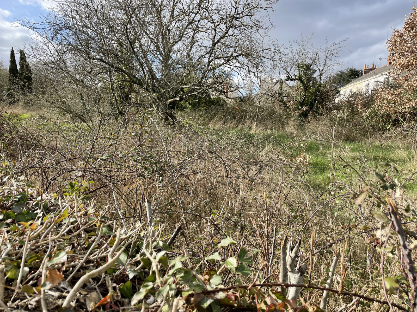 Image_4, Terrain à batir, Saumur, ref :3044