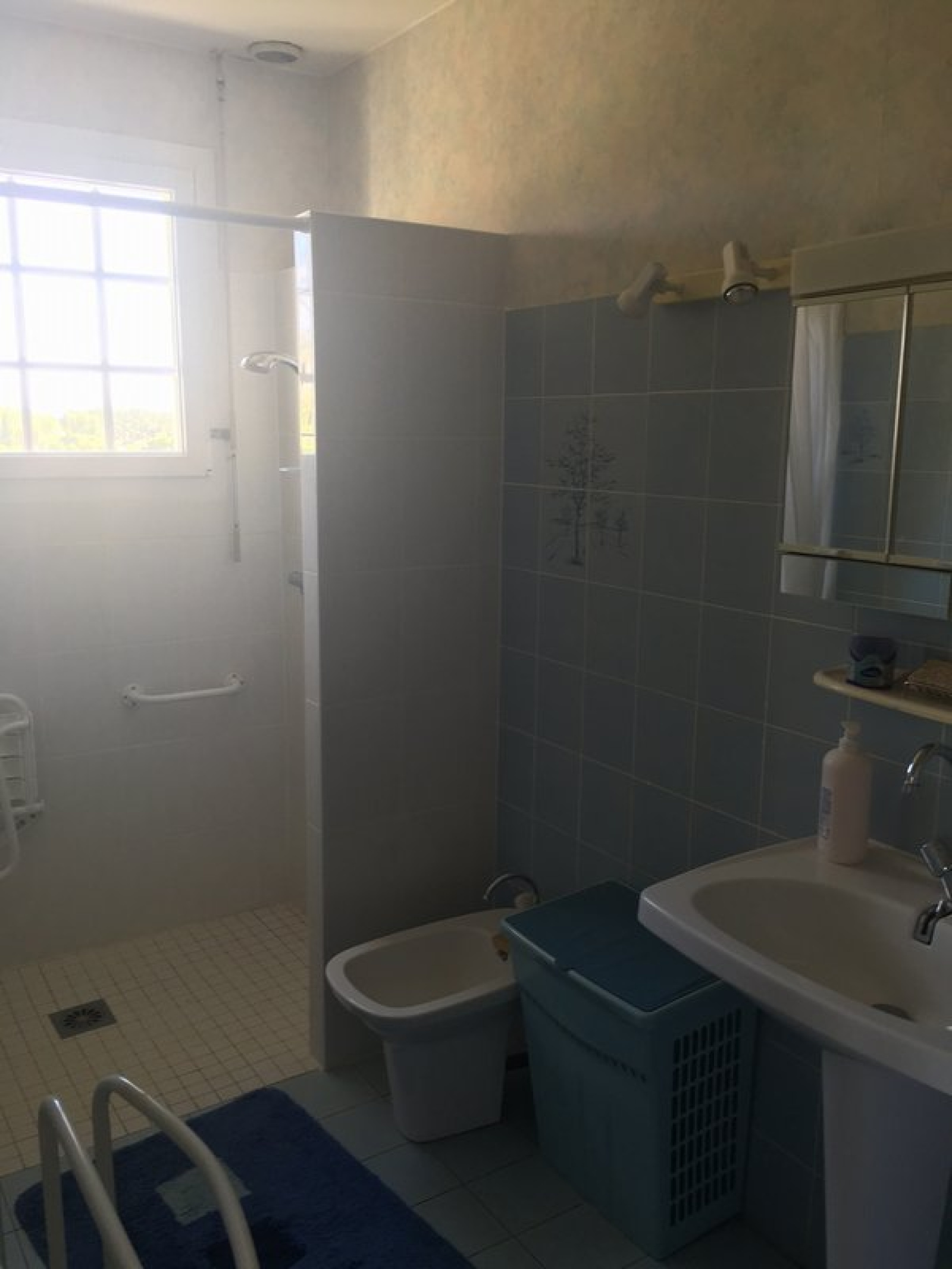 Image_6, Maison, Dénezé-sous-Doué, ref :9190