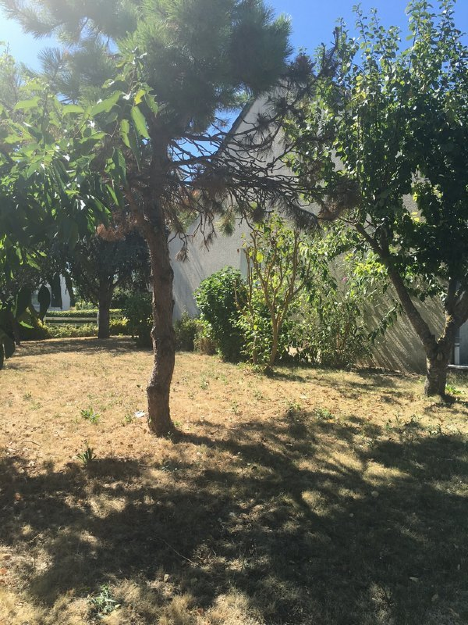 Image_13, Maison, Dénezé-sous-Doué, ref :9190