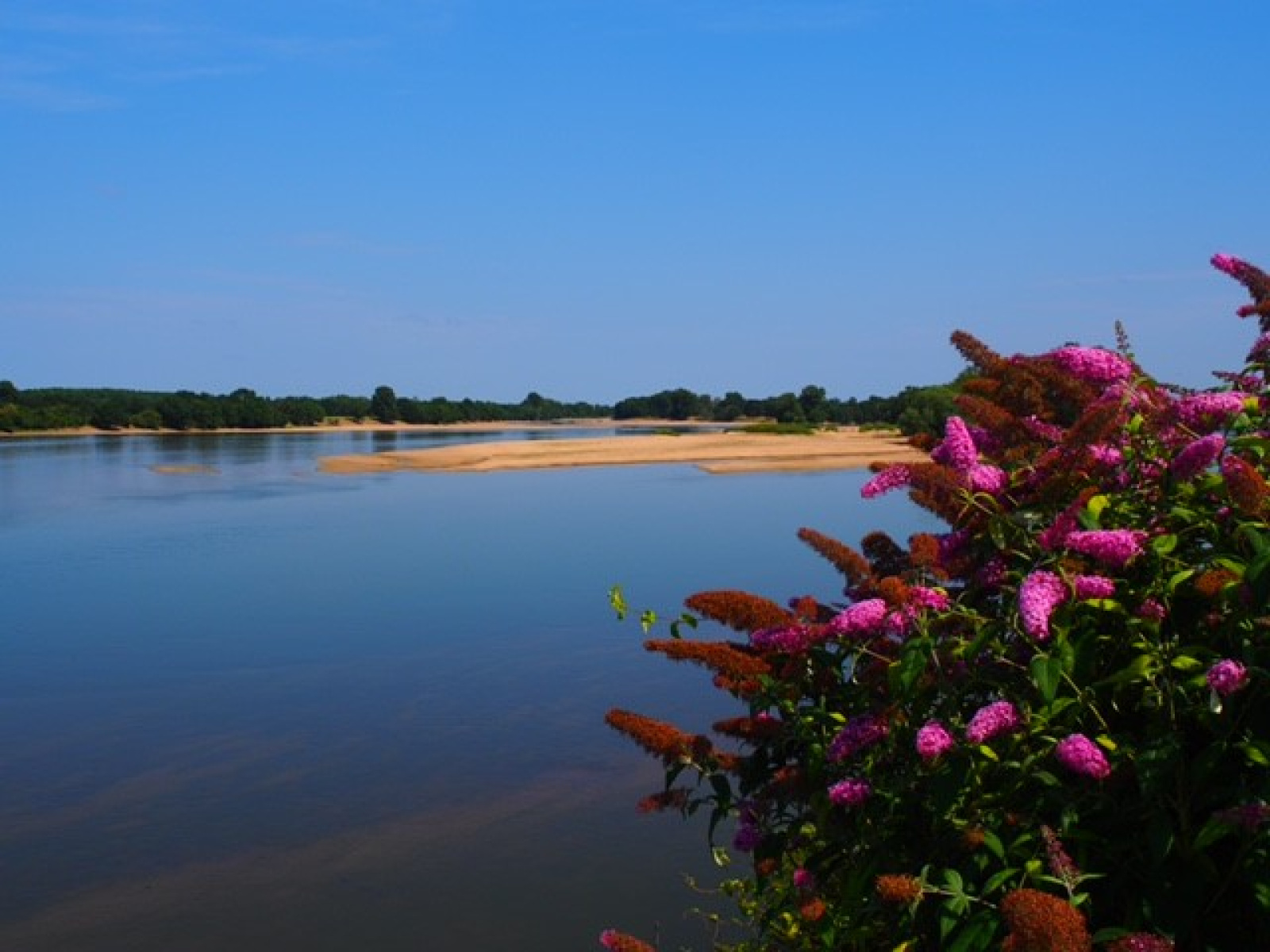 Image_12, Maison, Chênehutte-Trèves-Cunault, ref :4712-05.11