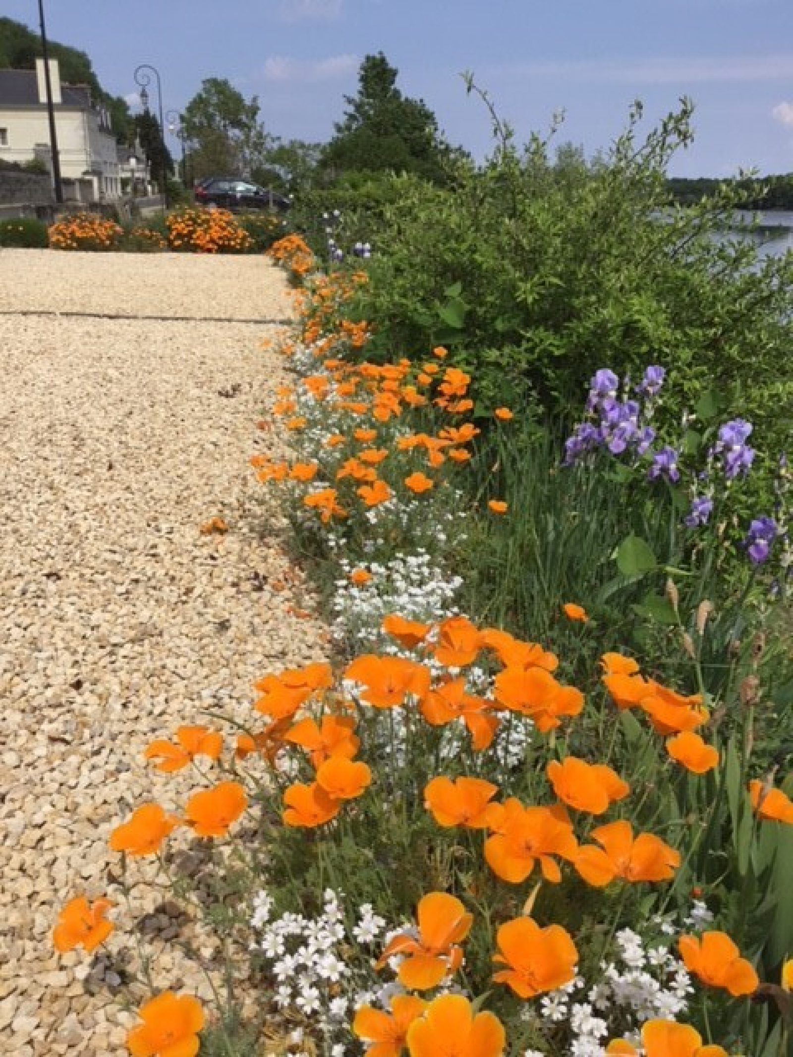 Image_6, Maison, Chênehutte-Trèves-Cunault, ref :4712-05.11