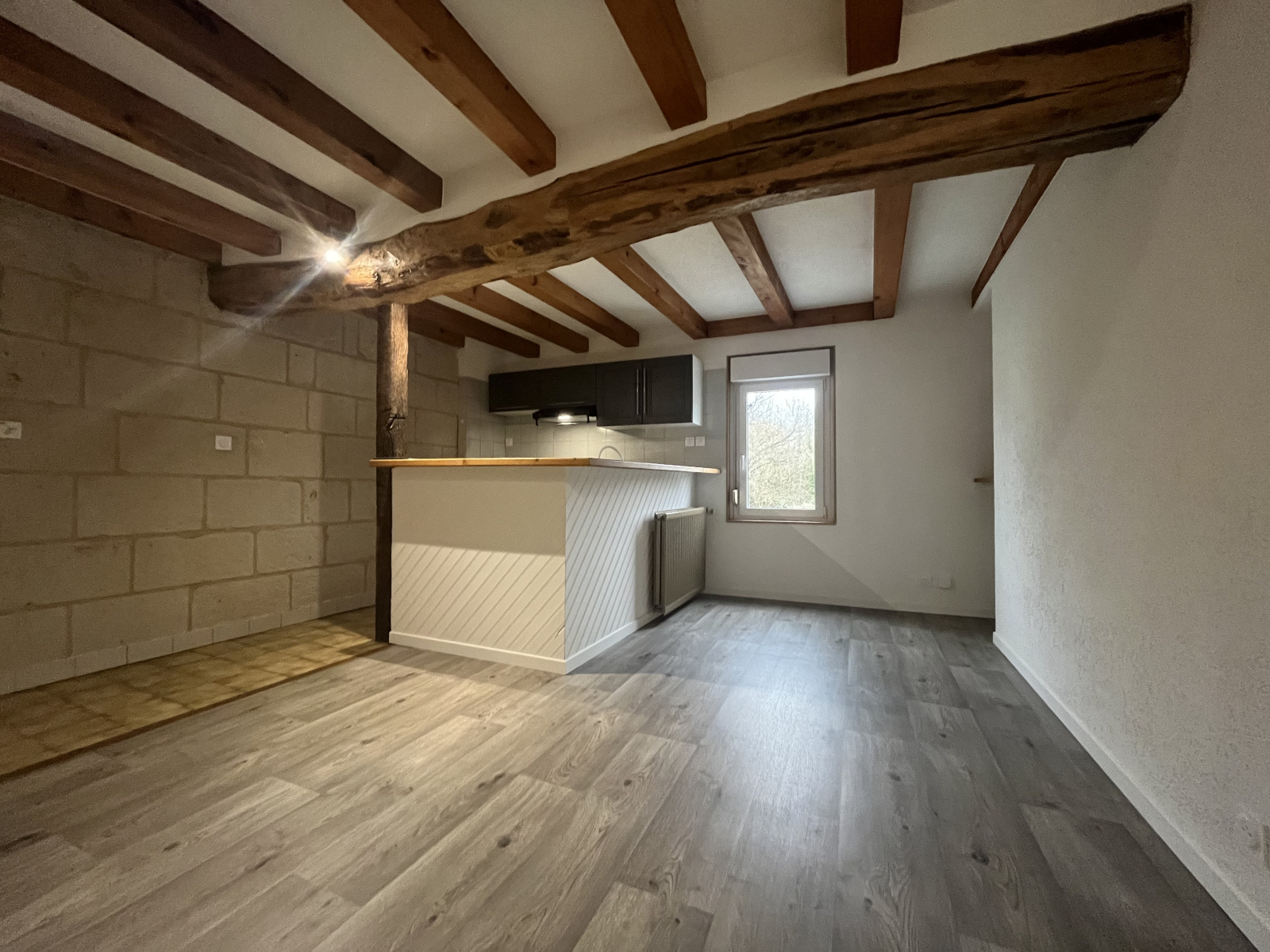 Image_1, Appartement, Parnay, ref :2057-2009