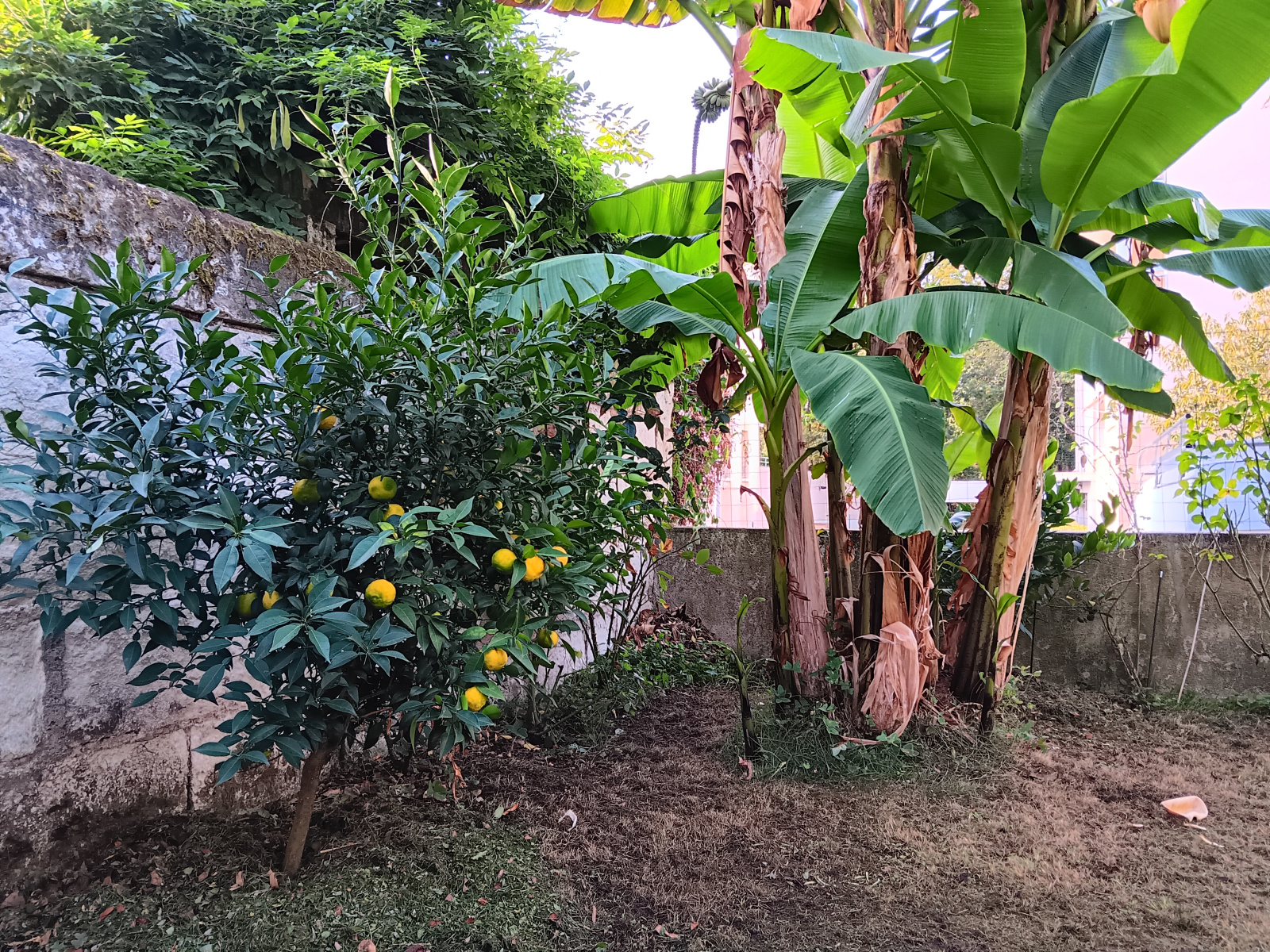 Image_11, Maison, Saumur, ref :4812-13.02