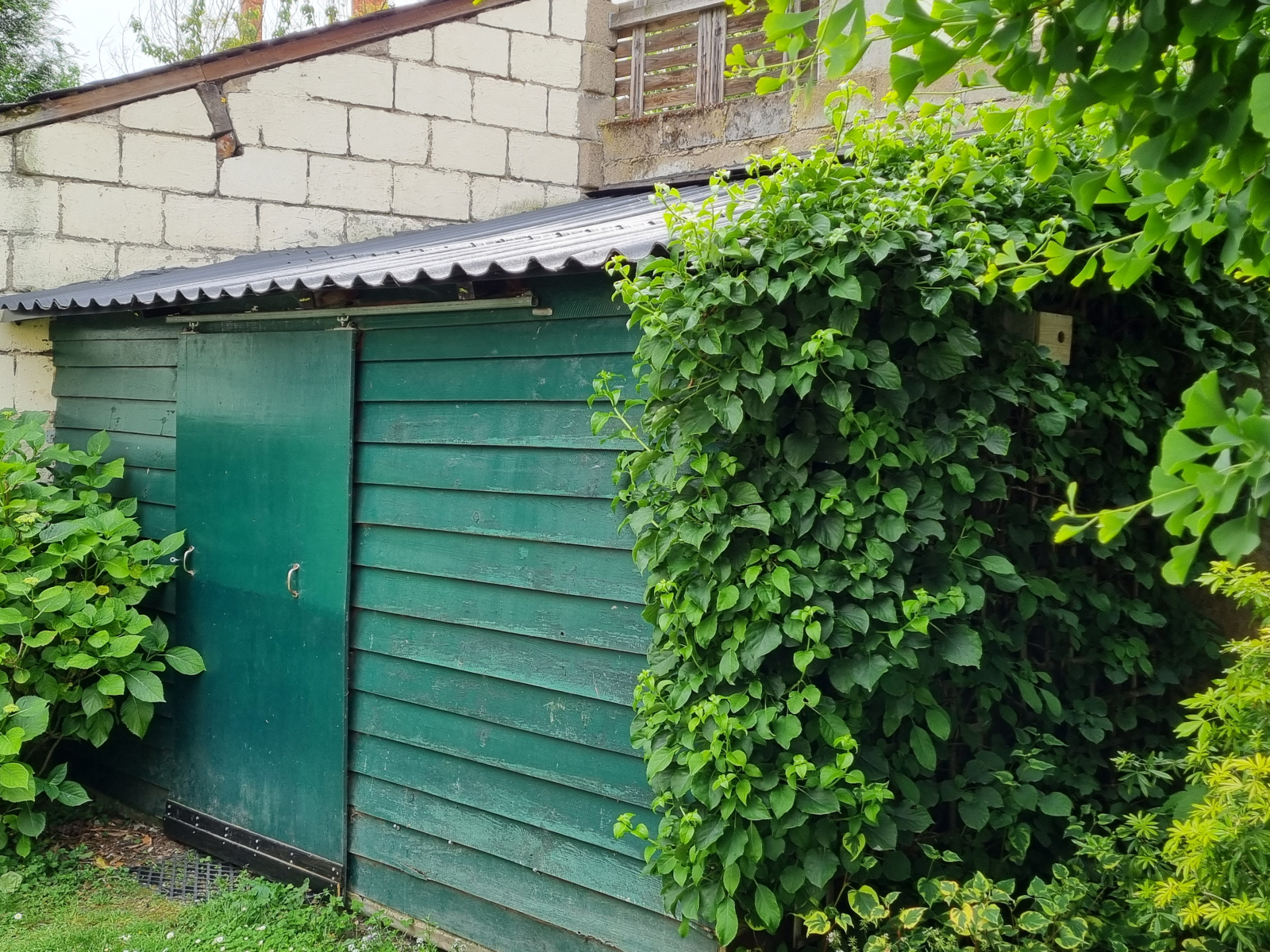 Image_25, Maison, Saumur, ref :4012-28.05