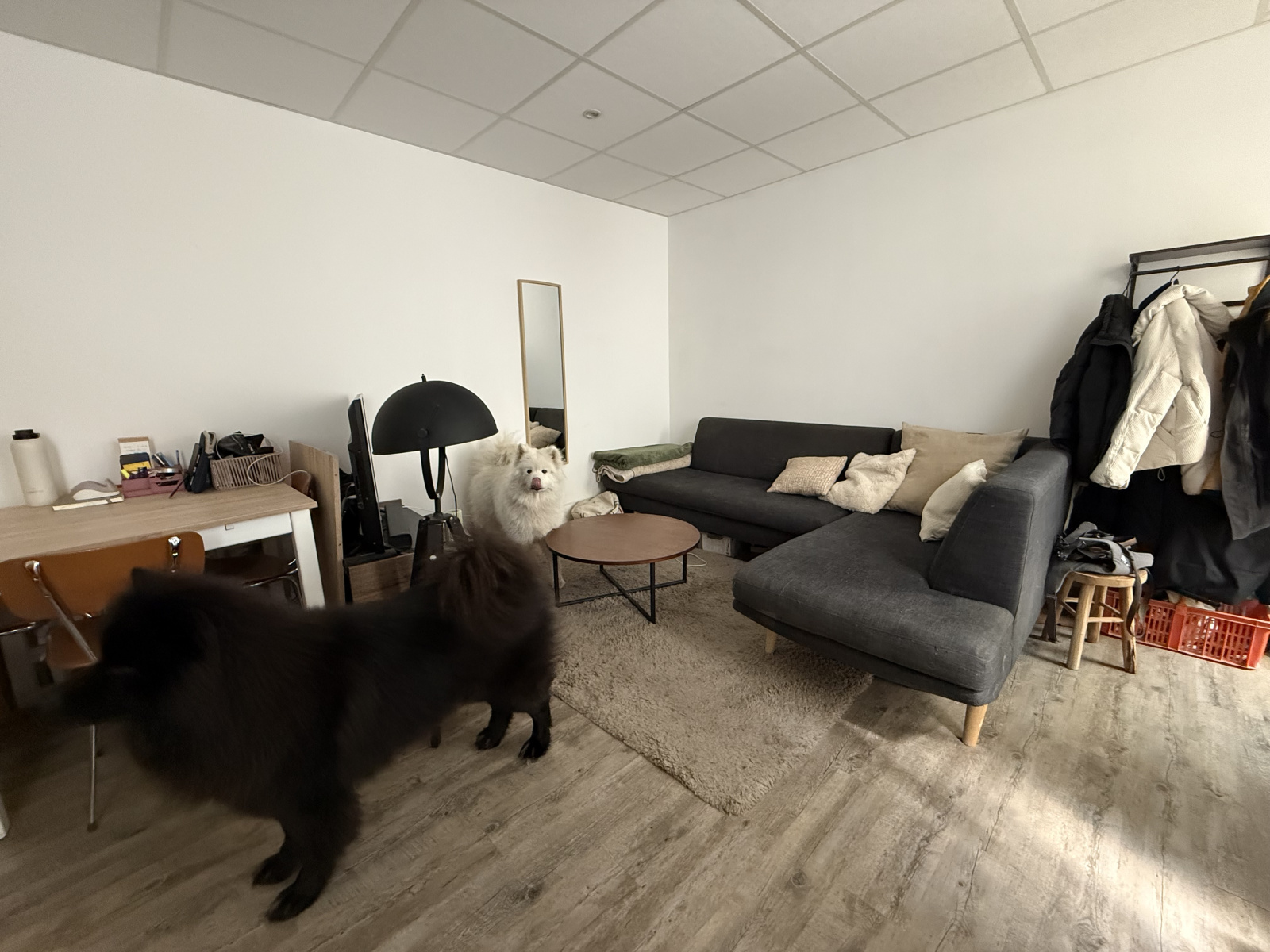 Image_4, Appartement, Saumur, ref :19062025