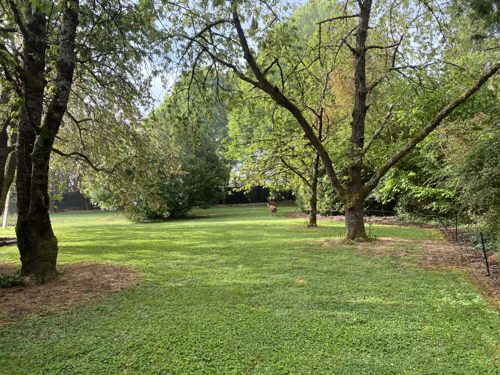 Image_6, Maison, Seiches-sur-le-Loir, ref :4812-