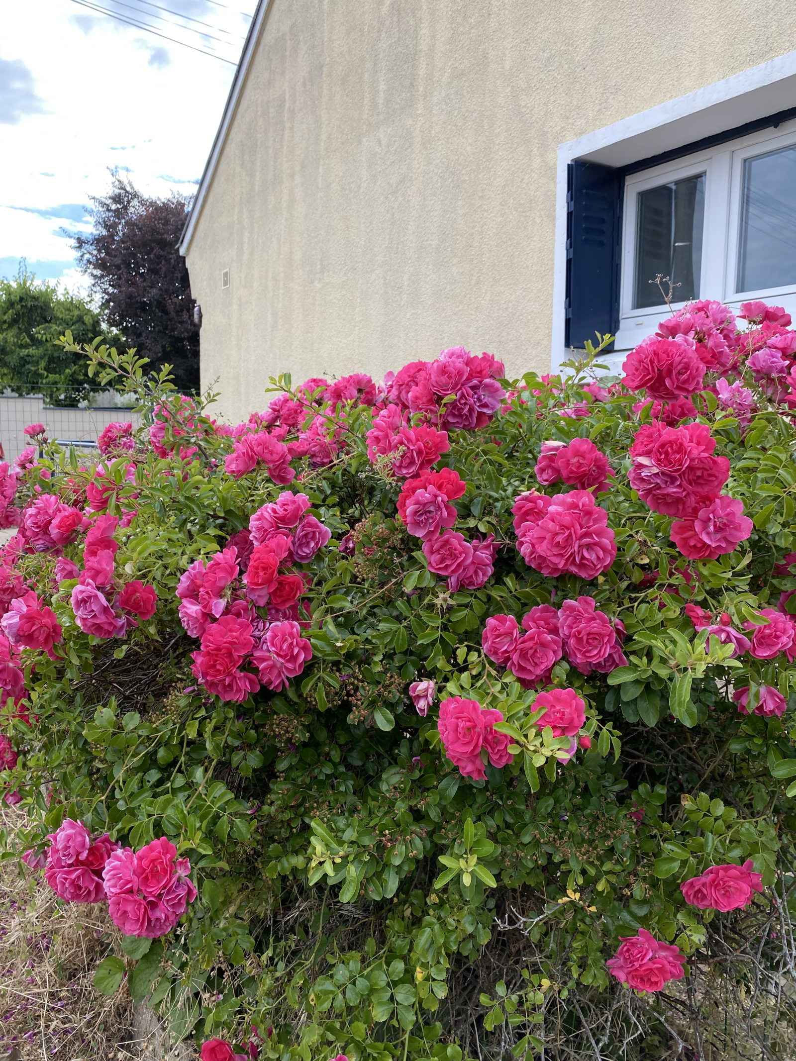 Image_2, Maison, Saumur, ref :09.2805