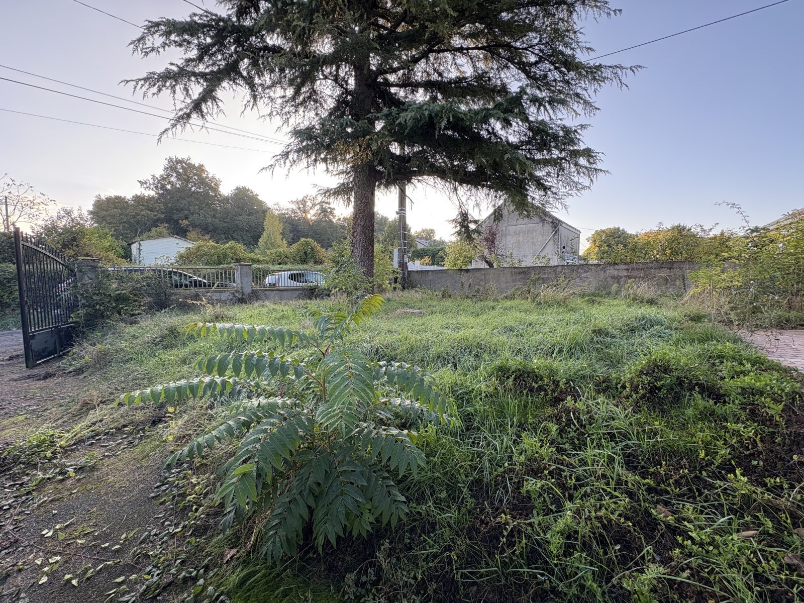 Image_12, Maison, Brézé, ref :11553