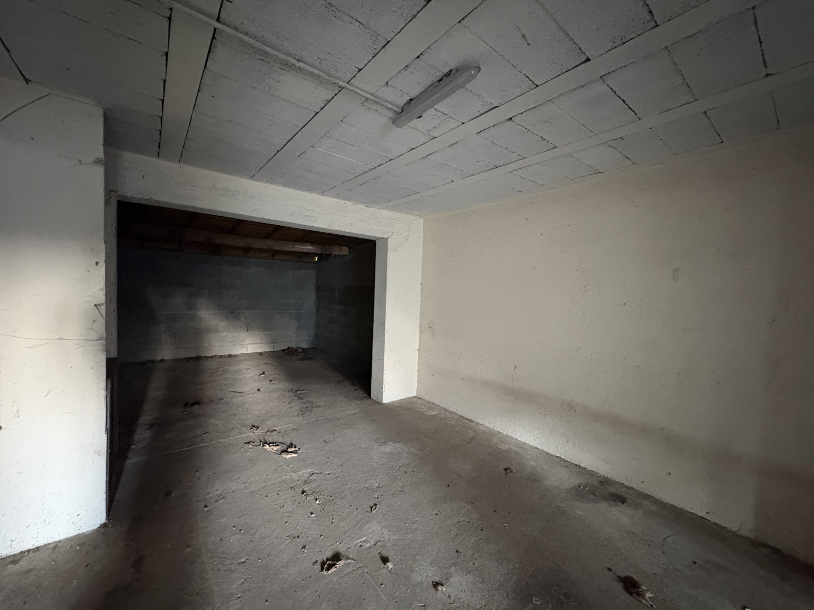 Image_10, Maison, Brézé, ref :11553