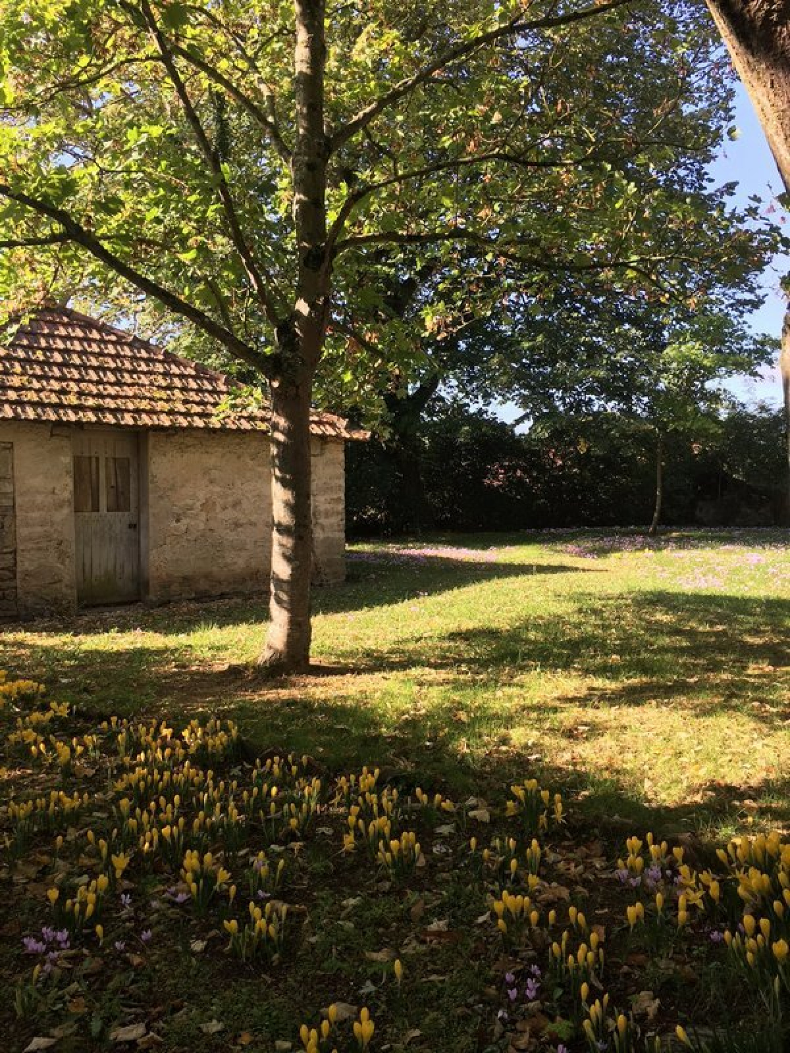 Image_2, Maison, Doué-la-Fontaine, ref :11671-1912